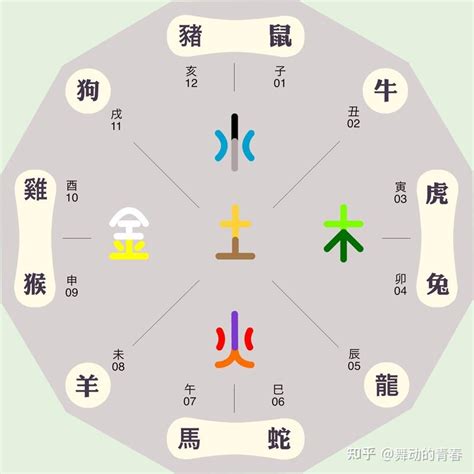 蔡 五行 屬 什麼|蔡的五行揭秘！